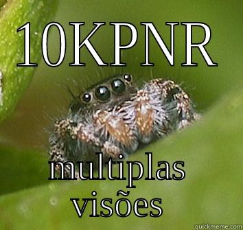 10KPNR MULTIPLAS VISÕES Misunderstood Spider