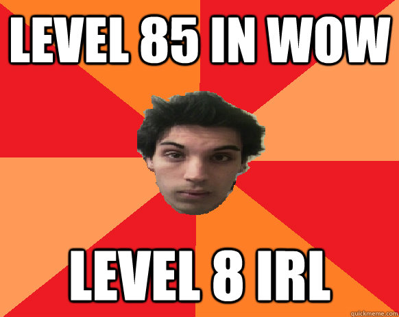 Level 85 in WoW Level 8 IRL  Idiot WoW player