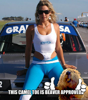 This camel toe is beaver approved   camel toe