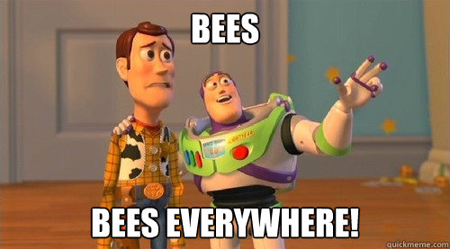 Bees Bees Everywhere!  Buzz Kill
