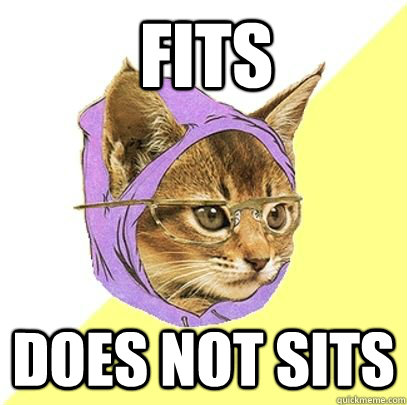Fits does not sits  Hipster cat knowledge
