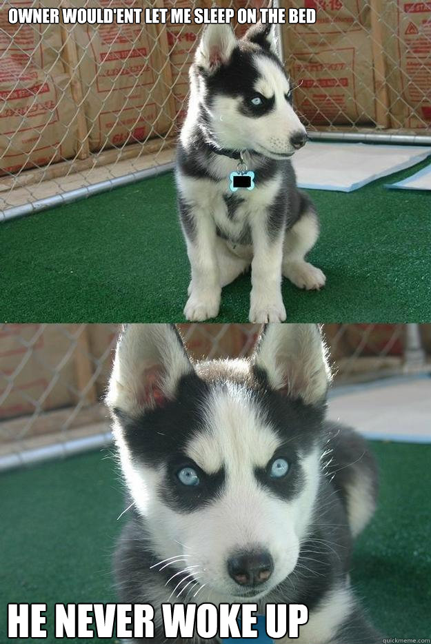 Owner Would'ent let me sleep on the bed He never woke up  Insanity puppy