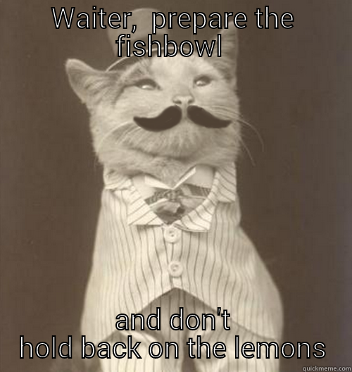 WAITER,  PREPARE THE FISHBOWL  AND DON'T HOLD BACK ON THE LEMONS Original Business Cat