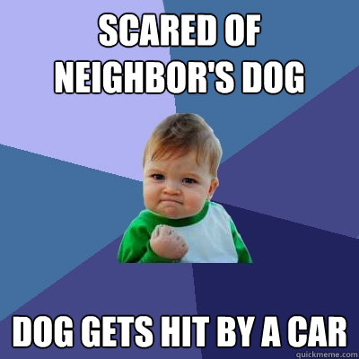 scared of neighbor's dog dog gets hit by a car  Success Kid