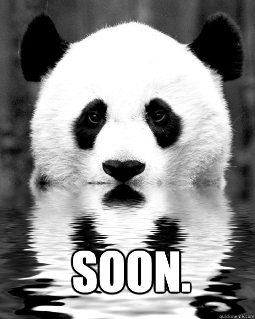 soon. - soon.  panda