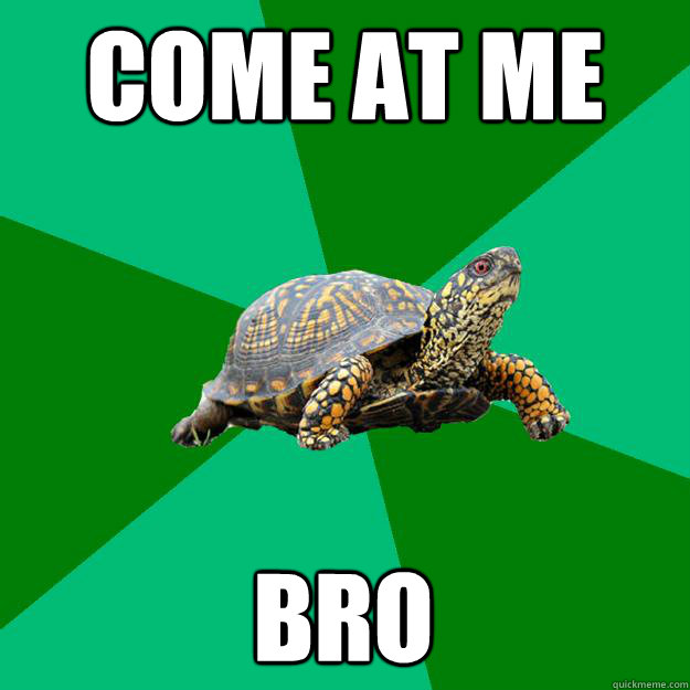 Come AT ME BRO  Torrenting Turtle
