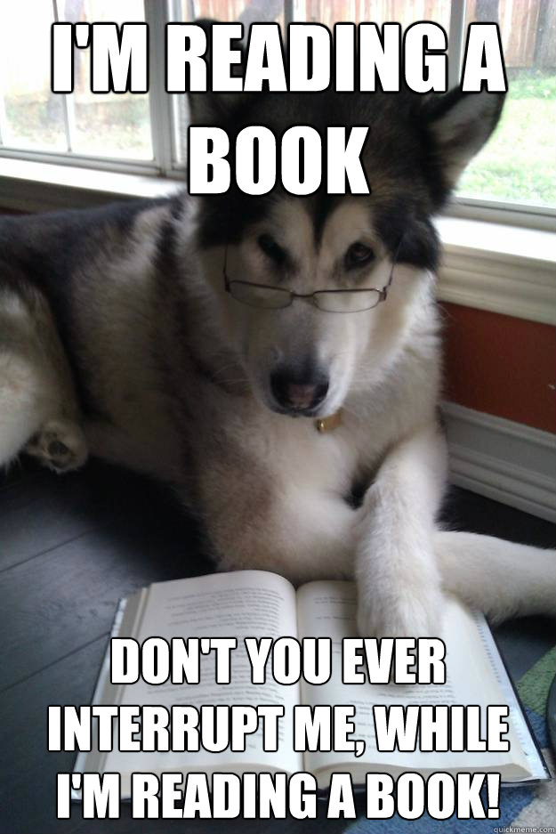 I'm reading a book Don't you ever interrupt me, while I'm reading a book!  