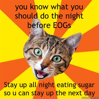 you know what you should do the night before EOGs Stay up all night eating sugar so u can stay up the next day  Bad Advice Cat