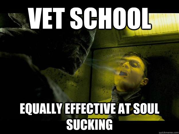 Vet School Equally effective at soul sucking  Vet school