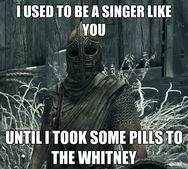 I used to be a singer like you until i took some pills to the whitney  Skyrim Guard