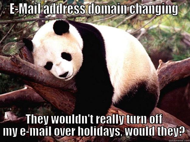 E-MAIL ADDRESS DOMAIN CHANGING THEY WOULDN'T REALLY TURN OFF MY E-MAIL OVER HOLIDAYS, WOULD THEY? Procrastination Panda