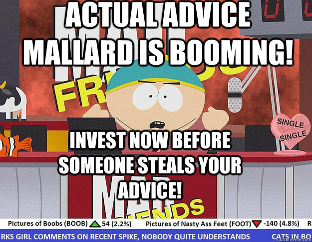 Actual Advice mallard is booming! Invest now before someone steals your advice!  