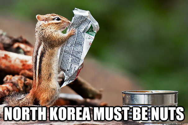  nORTH KOREA MUST BE NUTS -  nORTH KOREA MUST BE NUTS  Misc