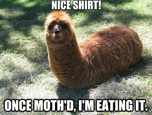 Nice shirt! Once Moth'd, I'm eating it.  Alpacapillar