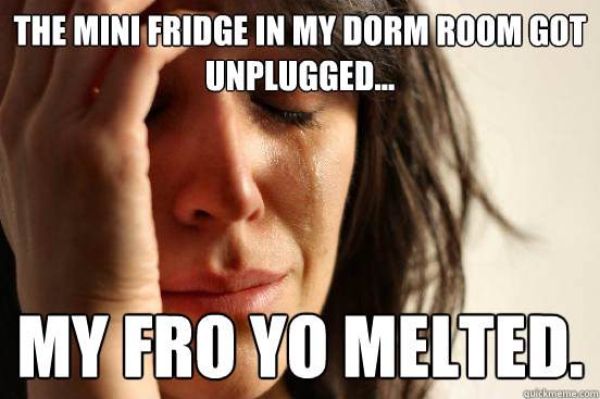 The mini fridge in my dorm room got unplugged... my fro yo melted.  First World Problems