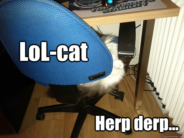 LoL-cat Herp derp... - LoL-cat Herp derp...  LoL-cat