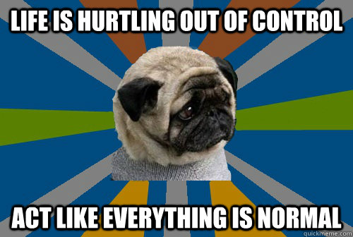 Life is hurtling out of control Act like everything is normal - Life is hurtling out of control Act like everything is normal  Clinically Depressed Pug