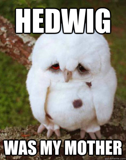 Hedwig was my mother - Hedwig was my mother  Depressed Owl