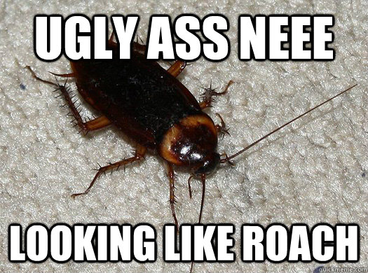 UGLY ASS NEEE LOOKING LIKE ROACH  Scumbag Cockroach
