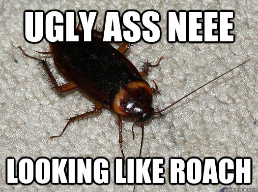 UGLY ASS NEEE LOOKING LIKE ROACH  