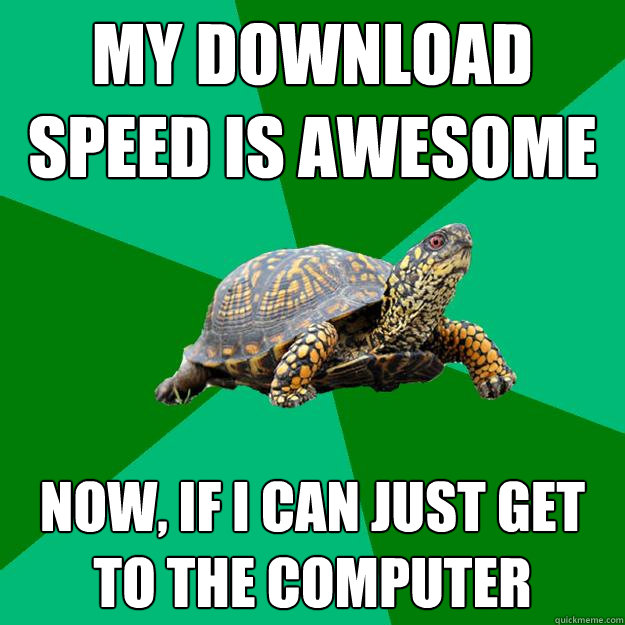 my download speed is awesome now, if i can just get to the computer - my download speed is awesome now, if i can just get to the computer  Torrenting Turtle