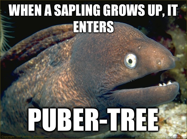 When a sapling grows up, it enters Puber-Tree  Bad Joke Eel