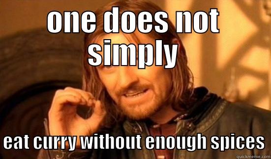 ONE DOES NOT SIMPLY EAT CURRY WITHOUT ENOUGH SPICES Boromir