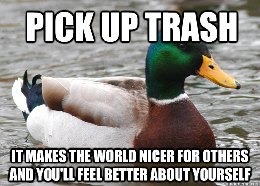 pick up trash it makes the world nicer for others and you'll feel better about yourself  Actual Advice Mallard