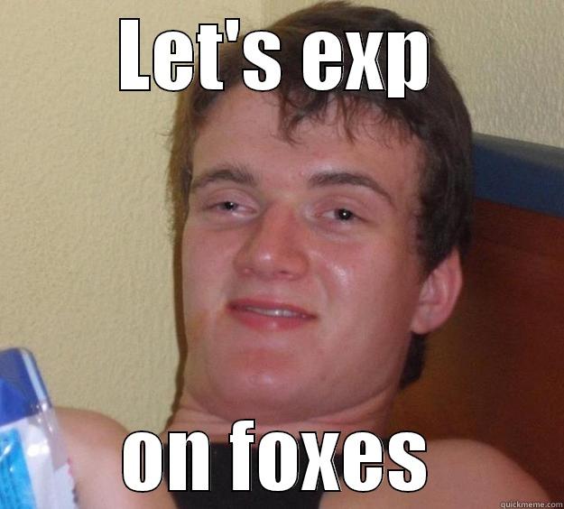 Let's exp - LET'S EXP ON FOXES 10 Guy