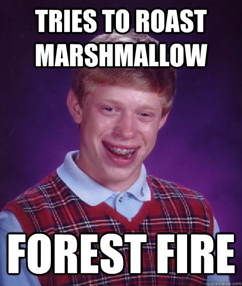 Tries to roast marshmallow forest fire  Bad Luck Brian