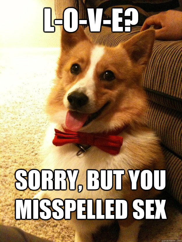 l-o-v-e? Sorry, but you misspelled sex - l-o-v-e? Sorry, but you misspelled sex  Charming Corgi