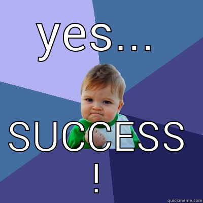 YES... SUCCESS ! Success Kid
