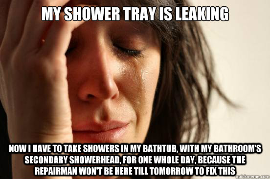 My shower tray is leaking Now I have to take showers in my bathtub, with my bathroom's secondary showerhead, for one whole day, because the repairman won't be here till tomorrow to fix this  First World Problems