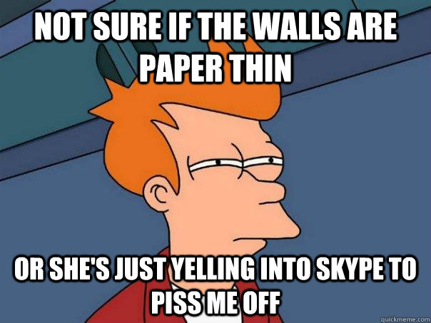 Not sure if the walls are paper thin Or she's just yelling into Skype to piss me off  Futurama Fry