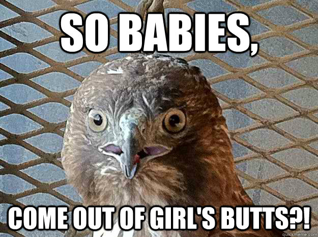 so babies, come out of girl's butts?!  