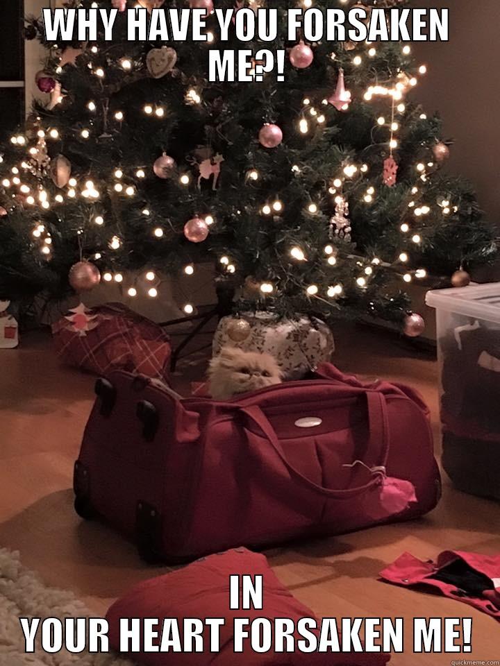 WHY HAVE YOU FORSAKEN ME?! IN YOUR HEART FORSAKEN ME! Misc