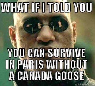 WHAT IF I TOLD YOU  YOU CAN SURVIVE IN PARIS WITHOUT A CANADA GOOSE Matrix Morpheus