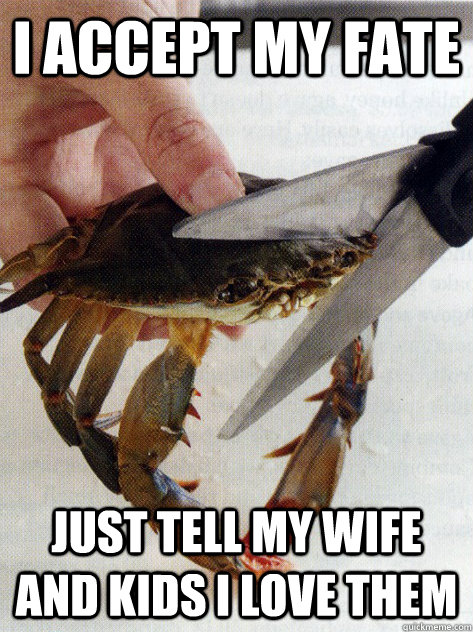 I accept my fate Just tell my wife and kids I love them  Optimistic Crab