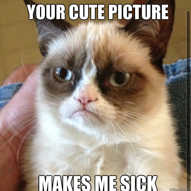 Your cute picture makes me sick  