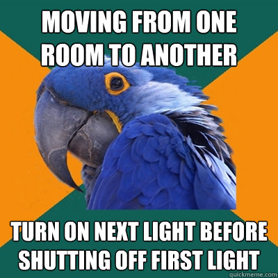 moving from one room to another turn on next light before shutting off first light  Paranoid Parrot