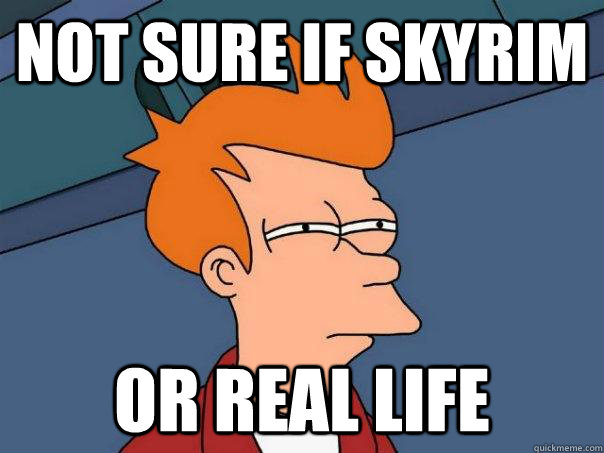 not sure if skyrim or real life  Futurama Fry