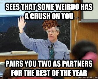 sees that some weirdo has a crush on you pairs you two as partners for the rest of the year  Scumbag Professor