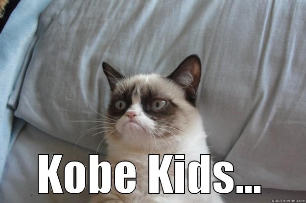 KOBE KIDS... Grumpy Cat