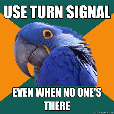 Use turn signal Even when no one's there  Paranoid Parrot