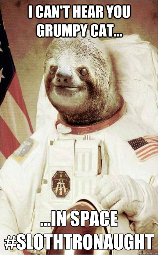 I can't hear you grumpy cat... ...in space
#slothtronaught - I can't hear you grumpy cat... ...in space
#slothtronaught  Astronaut Rape Sloth