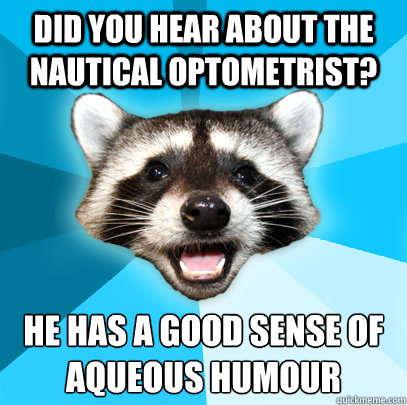 Did you hear about the nautical optometrist? he has a good sense of
aqueous humour  Lame Pun Coon