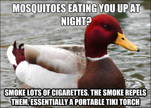 Mosquitoes eating you up at night?
 Smoke lots of cigarettes. The smoke repels them, essentially a portable tiki torch - Mosquitoes eating you up at night?
 Smoke lots of cigarettes. The smoke repels them, essentially a portable tiki torch  Malicious Advice Mallard