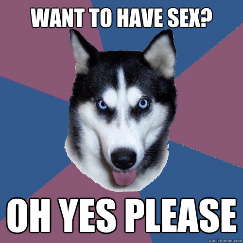 Want to have sex? Oh yes please - Want to have sex? Oh yes please  Creeper Canine