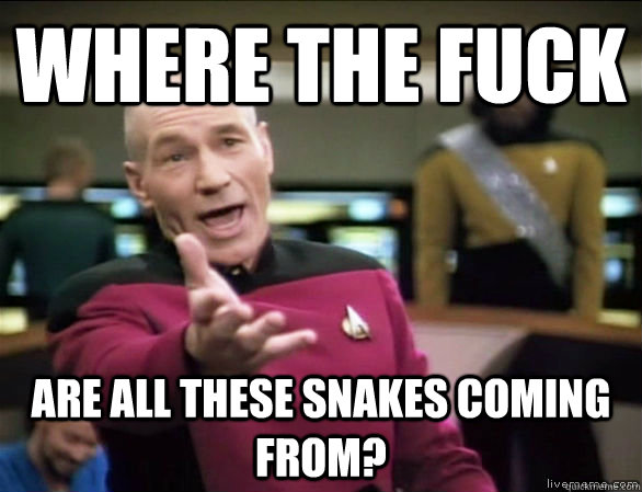 where the fuck are all these snakes coming from?  Annoyed Picard HD