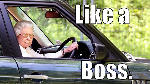               LIKE A                 BOSS. Misc
